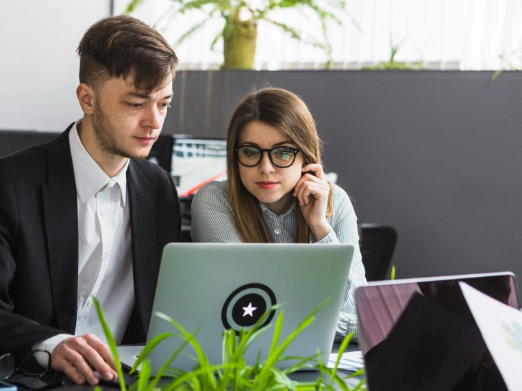 SEO Services Consultants